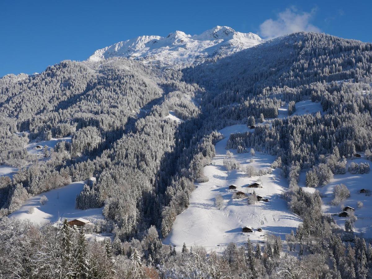 La Ferme D'Hauteluce - Chalets Zewnętrze zdjęcie